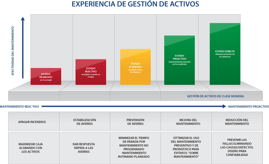 asset management experience